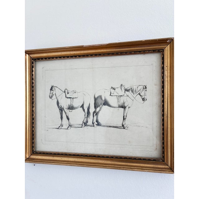 17th Century Antique Original Horse Etchings, Circa 1700: Framed Equestrian Prints - a Pair For Sale - Image 5 of 15