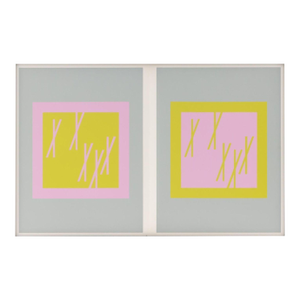 Josef Albers the Interaction of Color Plate Xxii-2