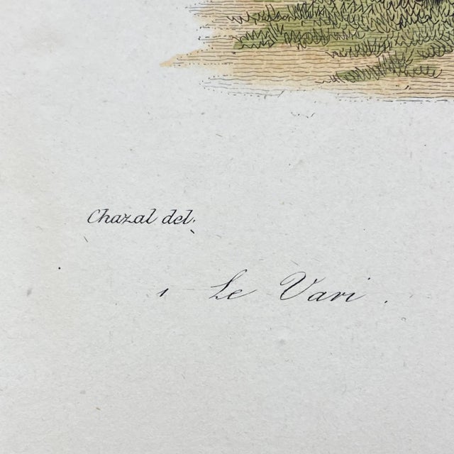 18th Century French Antique 18th Century Animal Engraving Hand Colored Signed Artwork For Sale - Image 5 of 8