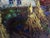 Oil Painting Landscape Lonely Oksana Ivanyuk For Sale - Image 12 of 13
