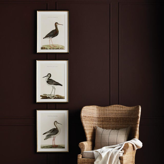 Coastal Wandering Birds Study, Set Of 3 For Sale - Image 3 of 3