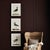 Coastal Wandering Birds Study, Set Of 3 For Sale - Image 3 of 3