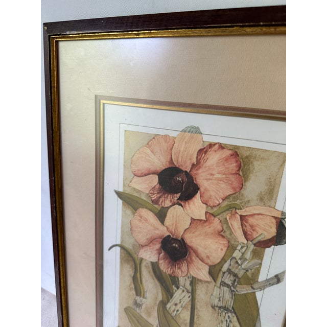 1970s Antique Framed Signed Print of Pink Flower For Sale - Image 9 of 12