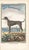 1758 Buffon Dog Engraving "Le Grand Danois" (The Great Dane) For Sale