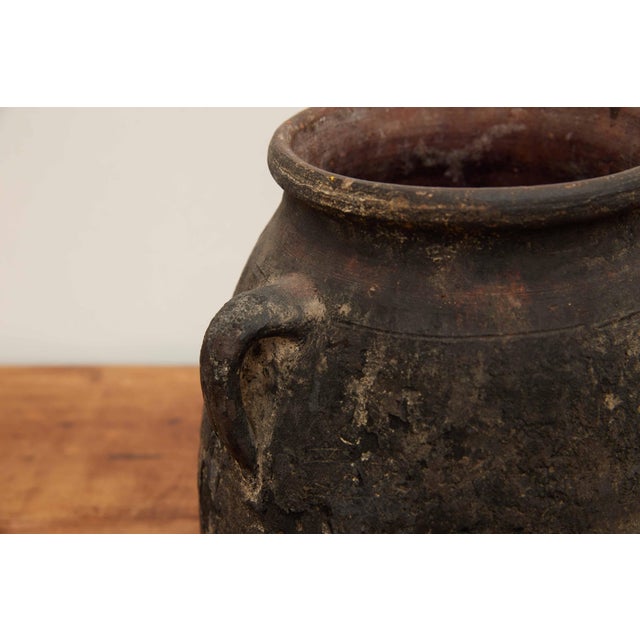 Late 19th Century Vintage Small Black Olive Pot For Sale - Image 5 of 11