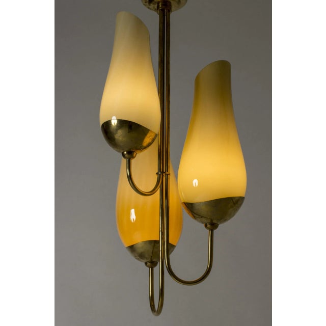 Brass and Glass Chandelier by Gunnel Nyman & Paavo Tynell For Sale - Image 4 of 10