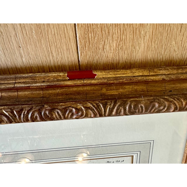 2000 - 2009 Dennis & Leen Botanical Print With Gilded Frame – DL-Art 38 For Sale - Image 5 of 9