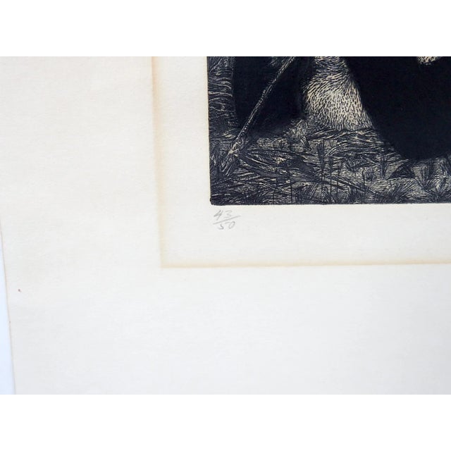 Vintage etching on paper print of Panda. Signed S. Sona and numbered 43/50 in pencil along lower margin. Unframed, age...