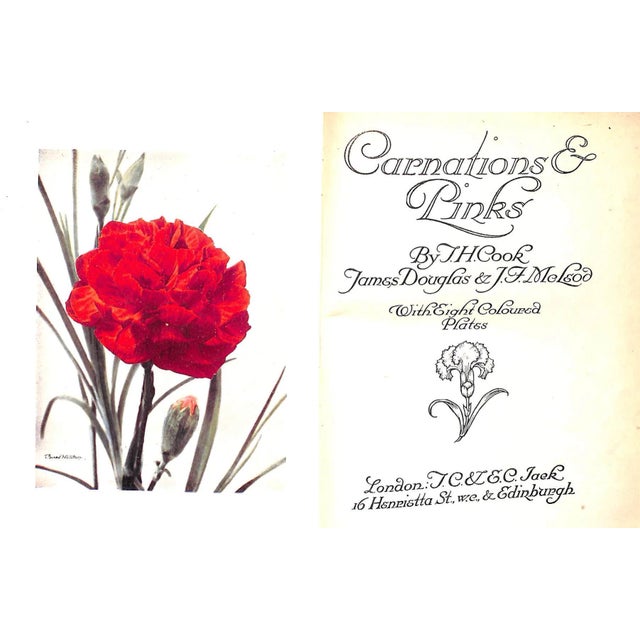 Traditional "Carnations & Pinks" 1919 Cook, t.h., Douglas, James, McLeod, j.f. For Sale - Image 3 of 9