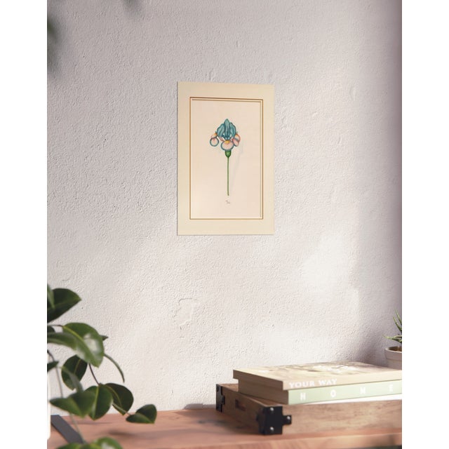 Atelier Aria Lumae Magdalena Rosina Funck Style Botanical Miniature Passe Partout Prints Complete 30 Piece Set A4 For Sale - Image 18 of 18