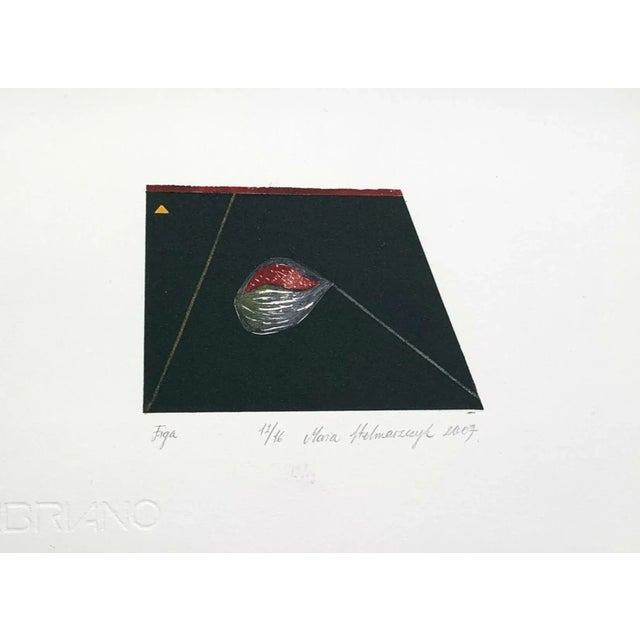 Maria Stelmaszczyk, A Fig, Linocut on Paper, 2007 For Sale - Image 3 of 6