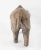 Great Decorative Leather Rhinoceros With Glass Eyes For Sale In New York - Image 6 of 12