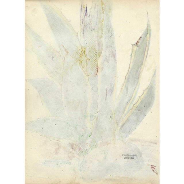 Grace Spongberg (American, 1906-1992) "Century Plant" oil pastel on paper, titled lower right and estate stamp on reverse....