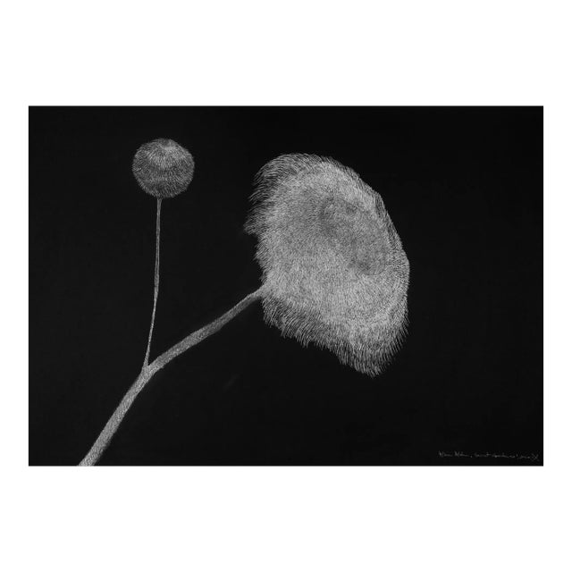 Secret Garden 12 by Alina Aldea For Sale