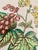 Shabby Chic Vintage English Copeland Spode ‘Glendale’ Scalloped Plates in Chelsea Wicker, Botanical Centers With Varied Hand Colored Fruit & Floral- Set of 3 For Sale - Image 3 of 12