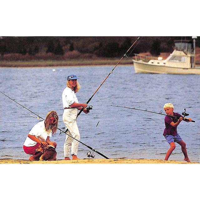 Traditional "Family Houses by the Sea" 1993 D'arnoux, Alexandra and Darblay, Jerome For Sale - Image 3 of 12