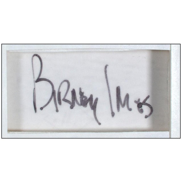 Late 20th Century Untitled (BI 20), Birney Imes For Sale - Image 4 of 4