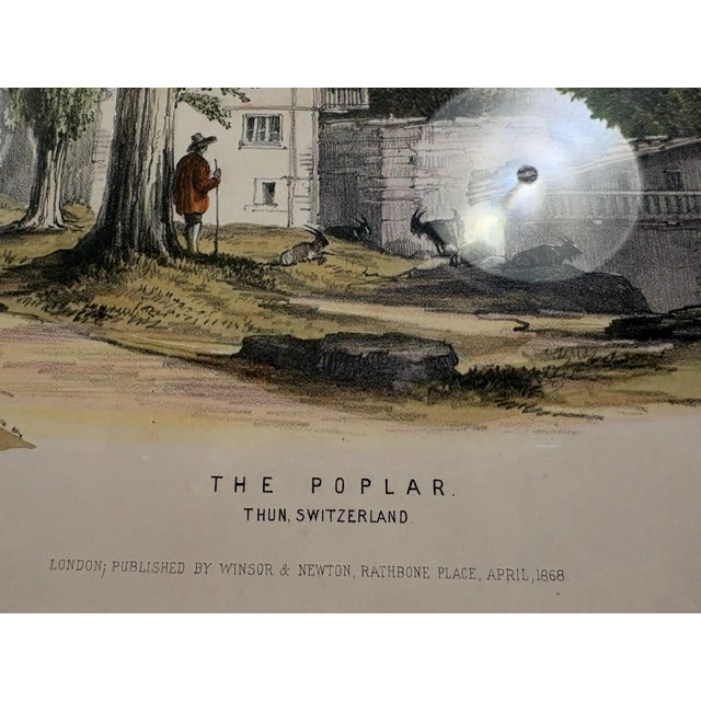 English George Barnard Hand-Colored Lithograph "The Poplar": Studies From Trees in Nature, 1868 For Sale - Image 3 of 3