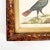 19th Century Etched Illustration of Impeyan Pheasant For Sale In Boston - Image 6 of 10