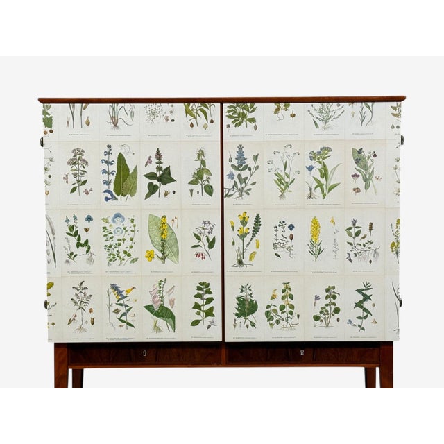 Wood Swedish Modern, Nordens Flora Cabinet, Birch, Floral Lithographs, Sweden, 1940s For Sale - Image 7 of 16