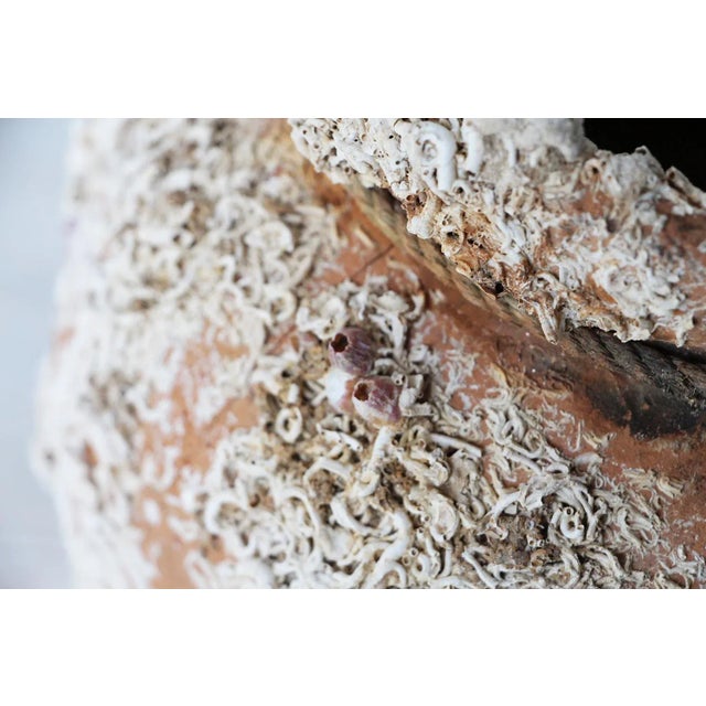 Ceramic 19th Century Terracotta Octopus Trap Vase For Sale - Image 7 of 13