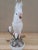 Beautiful regal porcelain perched cockatoo lamp. This lamp will be a statement piece in any room!