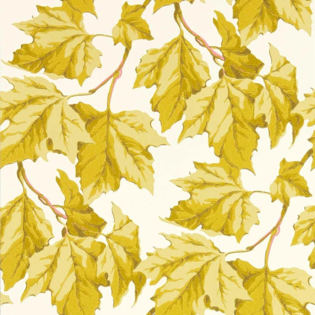 Harlequin Dappled Leaf Wallpaper in Citrine - a Sample For Sale