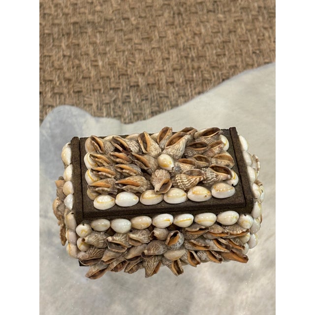 Vintage Palm Beach Style Rectangular Encrusted Shell Box in Neutral Palette For Sale - Image 10 of 18