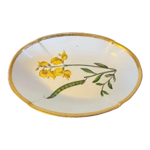 Antique Early 19th Century Spode Porcelain Botanical Dessert Dish Decorated With Named Specimen - Spanish Broom