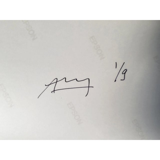 Apesteguy, Stellar Influence Francis Apesteguy, 2000s, Photographic Paper For Sale - Image 6 of 7