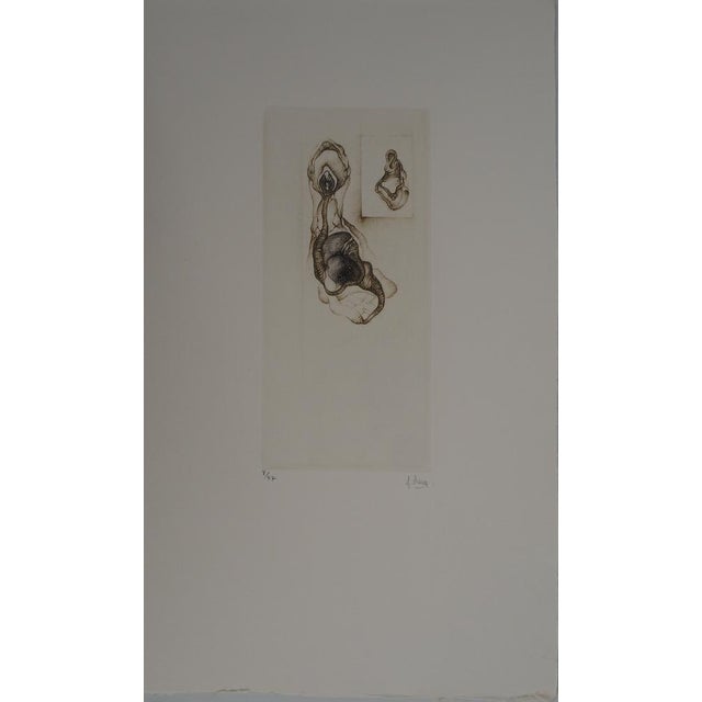 Fred Deux, Double Natural Abstraction, Original Engraving For Sale - Image 6 of 6
