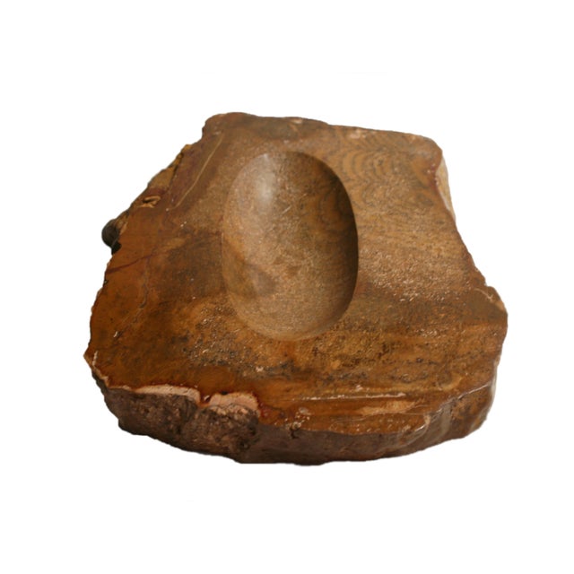 Brown Spanish Fossil Wood Ashtray, 1970s For Sale - Image 8 of 8