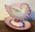 Pink Antique 19th Century Wedgwood Pearlware Centerpiece - Pink Nautilus Sea Shell Compote Tureen With Clam Shell Under Tray For Sale - Image 8 of 18