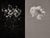 Jaume Llorens Bach, Gaia Diptych #78, Monochrome Photographic Print For Sale
