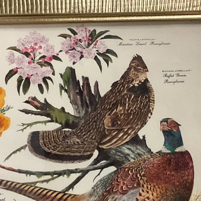 Vintage Americana Arthur Singer Lithograph, Flora & Fauna of Three States For Sale - Image 10 of 12