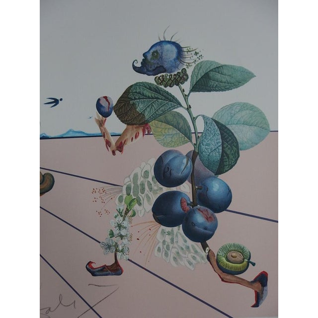 Salvador Dali, Flordali, 1981, Lithograph For Sale - Image 7 of 9