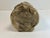 Vintage Handmade Ceramic Sculpture "Woo" Creature by Richard Marshall For Sale - Image 9 of 9