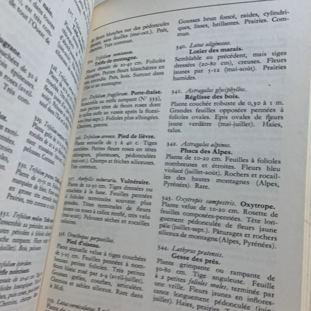 Antique White 1970 Fleurs Des Campagnes Country Flowers Book For Sale - Image 8 of 11