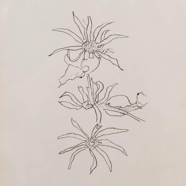 Abstract Original Mourlot Floral Lithograph by Georges Braque, 1955 For Sale - Image 3 of 11