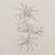 Abstract Original Mourlot Floral Lithograph by Georges Braque, 1955 For Sale - Image 3 of 11