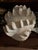 Faux Plaster Decorative Clam Shell For Sale - Image 4 of 12