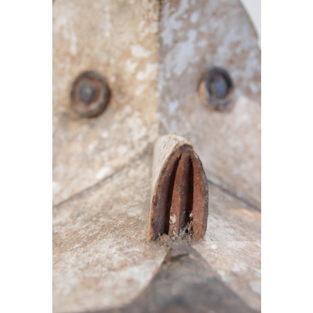 Ogbodo Enyi Elephant Mask, Ibo-Izzi, Nigeria, 1920s For Sale - Image 16 of 18