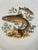 1940s-50s French Limoges Fish Plates - Set of Five For Sale - Image 10 of 17