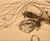 Late 20th Century Late 20th Century Charles Bragg Etching "The Blessed Father" For Sale - Image 5 of 9