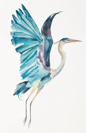 "Heron in Flight" - Original Watercolor Painting by Elizabeth Becker - Crane or Egret - Flying Bird - Wildlife Nature Illustration