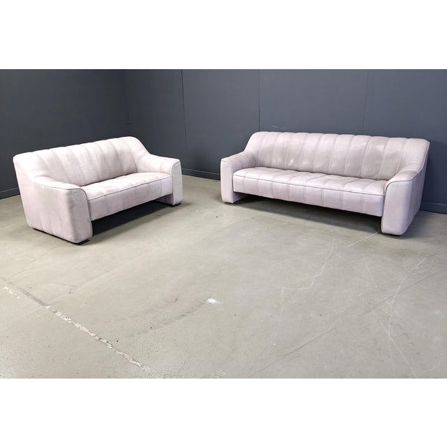 Animal Skin DS44 Sofa and Chair from de Sede, 1960s, 1970s, Set of 2 For Sale - Image 7 of 7