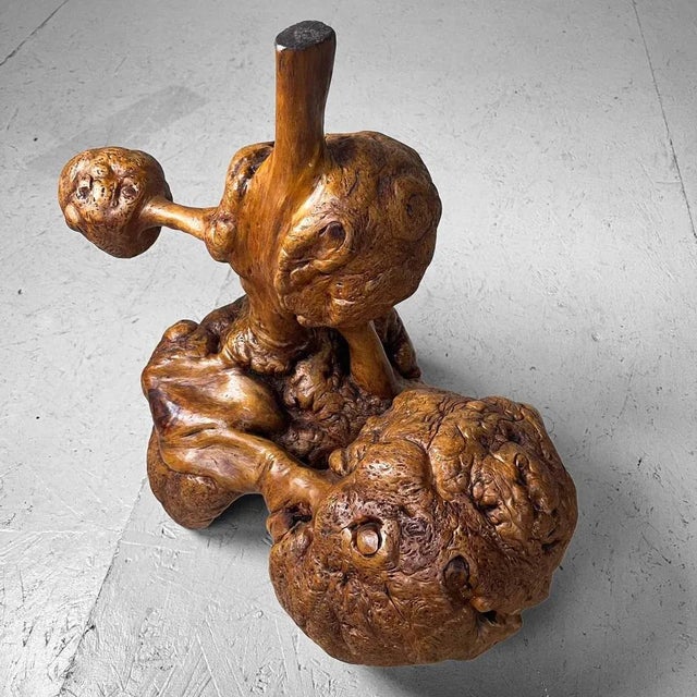 Decorative piece of burl wood from Japan. This object consists of root structures with bulbous outgrowths. A work of art...