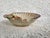 1980s Fitz and Floyd Shell Bowl, Oceana Collection For Sale - Image 10 of 10
