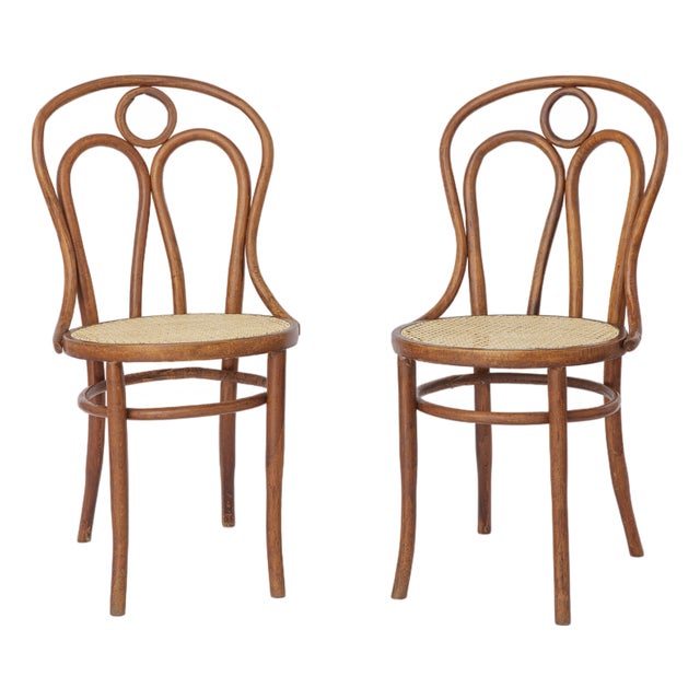 Stained Beech Bentwood Angel Chairs with Vienna Cane Seats, 1940s, Set of 2 For Sale