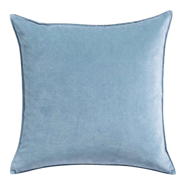 Contemporary Baby Blue Velvet Pillow Cover Chairish